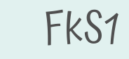Russianmarket.to login captcha verification image